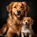 The Best Dog Breeds for Families – Ideal Family Pets 2024