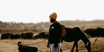 Top Dog Hiking Gear for Your Next Adventure 2024
